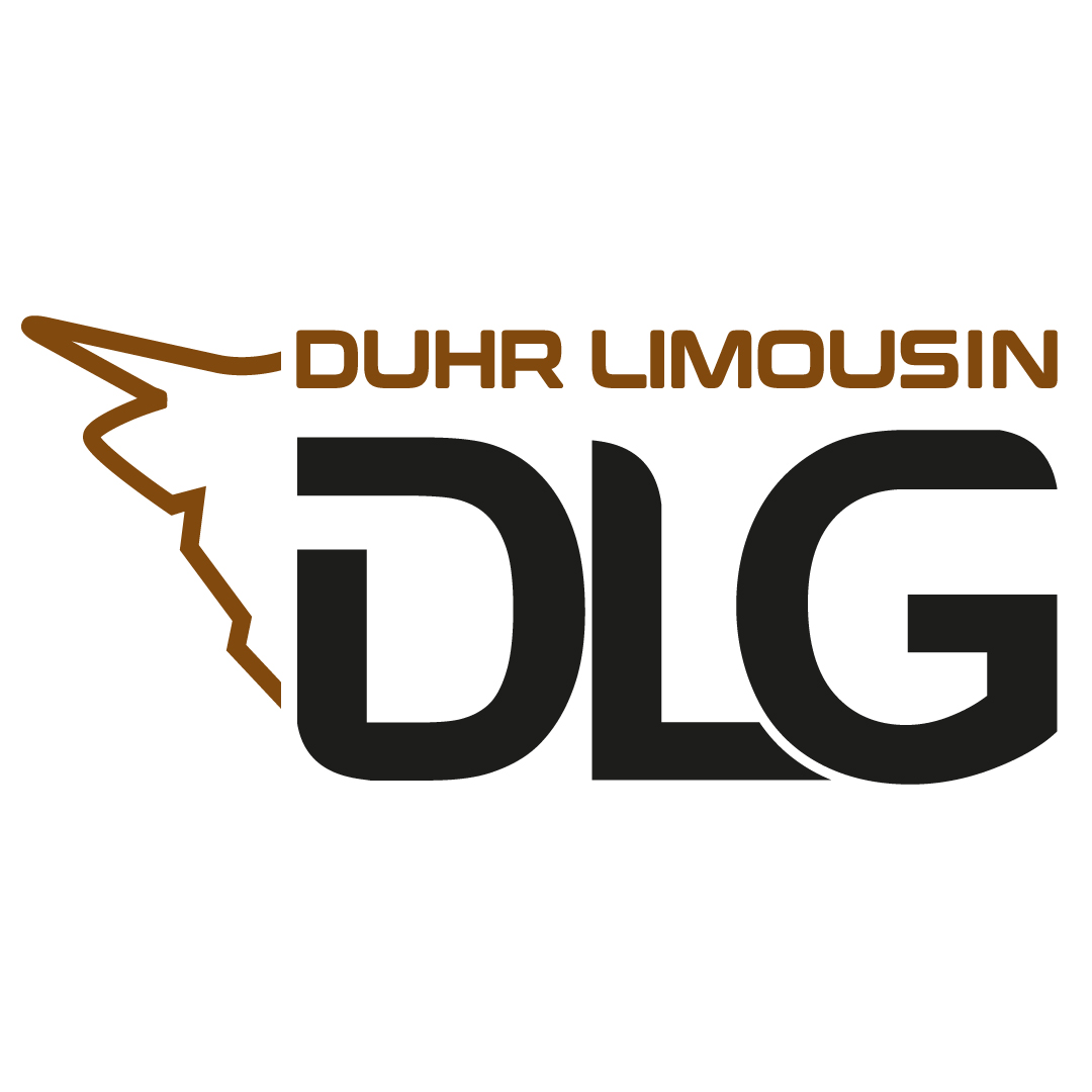 Logoentwicklung Logo gestalten lassen Fixpreis Festpreis Luxemburg Trier Konz