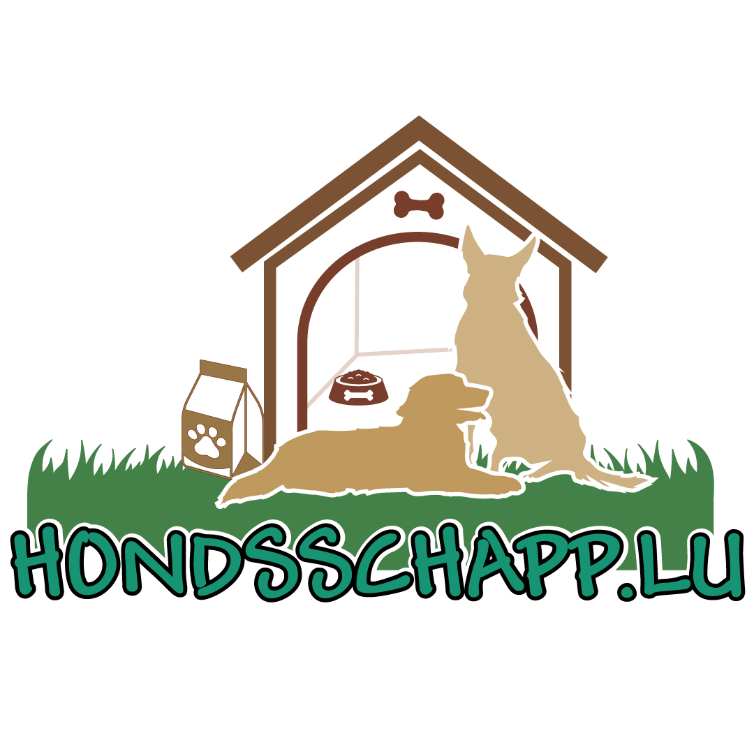 Logoentwicklung Logo gestalten lassen Fixpreis Festpreis Luxemburg Trier Konz